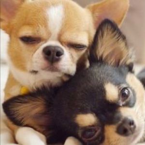 Meet your Posher, Christine